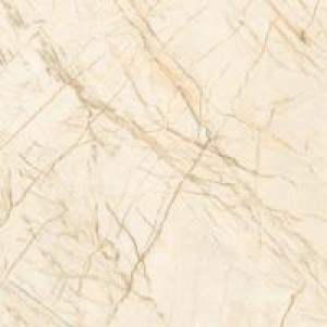 Gạch Trường Thịnh BURGUNDY VPJ8019P